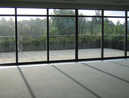 Glass wall onlooking a forest